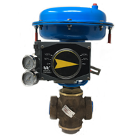 Feedwater Valves