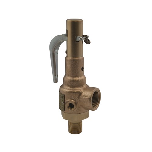 2M x 2F 15# Steam relief valve