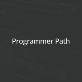 Programmer Path Bundle
