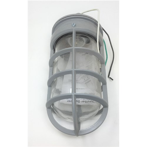 100W Pendent Mount with Cast Guard, 120V