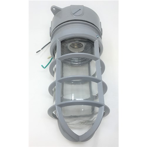 100W Ceiling Mount with box and Cast